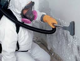 Best Residential Mold Inspection & Testing  in Ruleville, MS